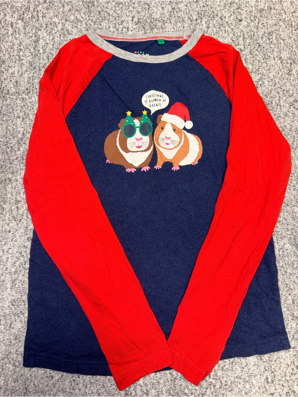 Youth Holiday Christmas Mini Boden Guinea Pig Graphic Long-Sleeve Shirt
